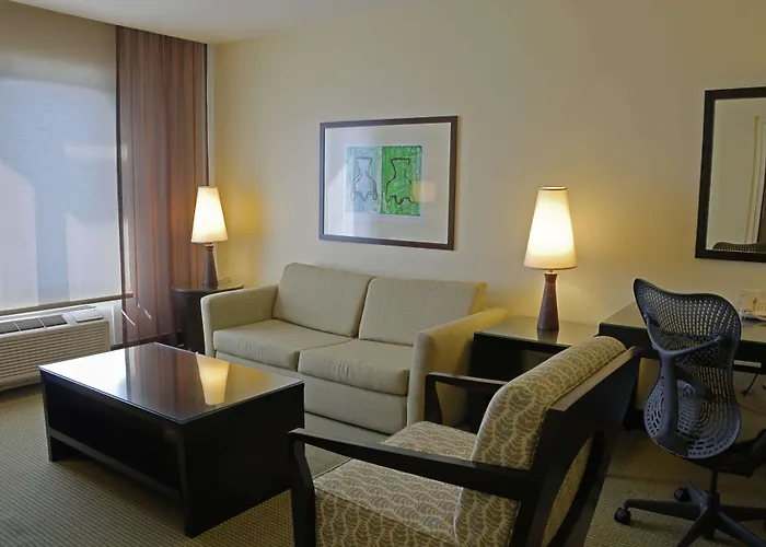 Hilton Garden Guanacaste Airport Hotel 3*