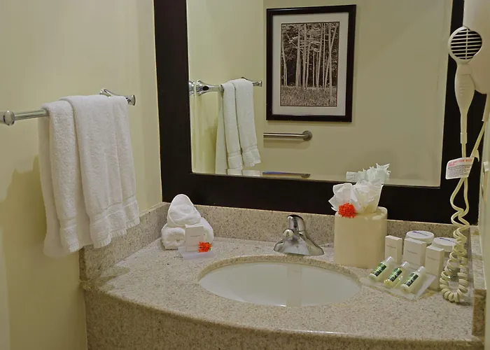 Hilton Garden Guanacaste Airport Hotel 3*