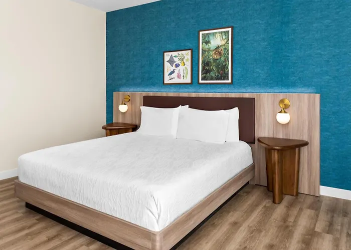 Hilton Garden Guanacaste Airport Hotel 3*