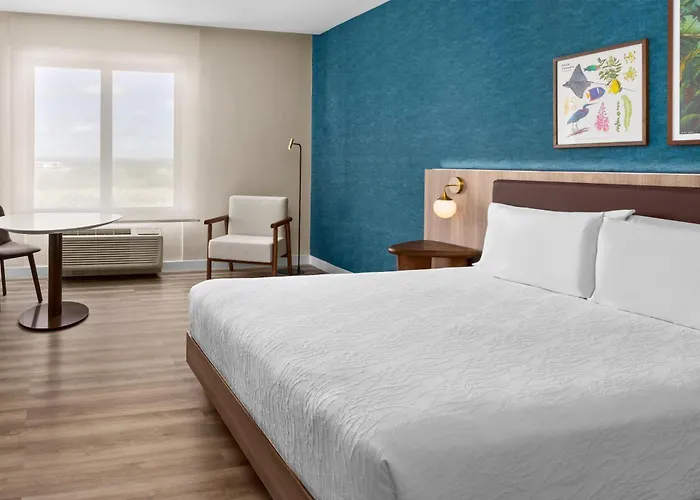Hilton Garden Guanacaste Airport Hotel 3*