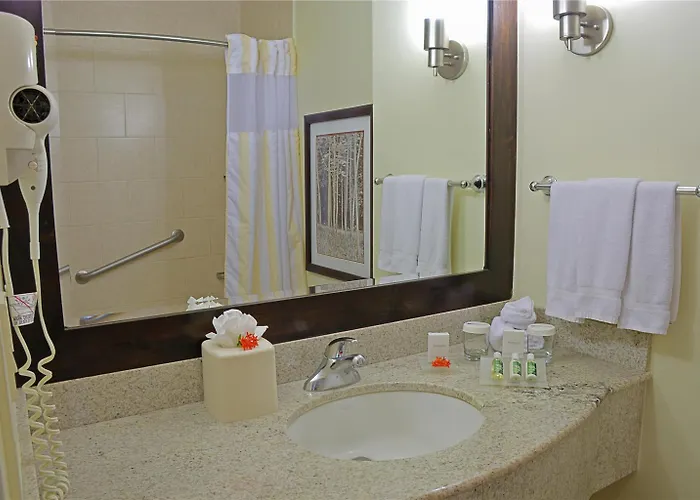 Hilton Garden Guanacaste Airport Hotel 3*
