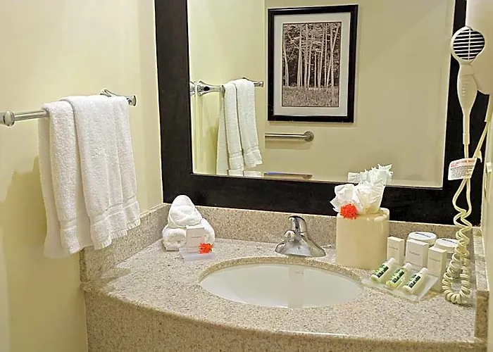 Hotel Hilton Garden Guanacaste Airport Liberia